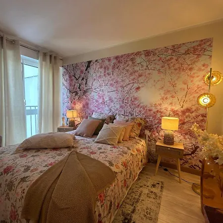 L Ecrin Du Appartement Dijon